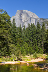 Yosemite National Park - Half Dome
