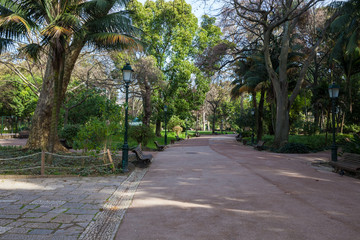 City park at sunny day