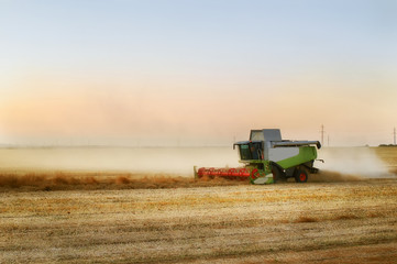 Obraz premium Combine harvesting rape