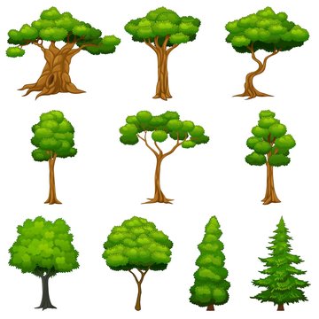 Diversity of trees set