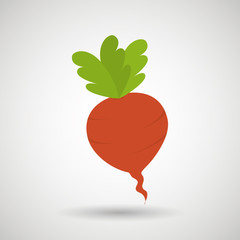 healthy food  design 