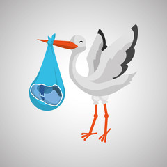 Baby shower design. invitation design.  isolated illustration