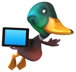 Duck