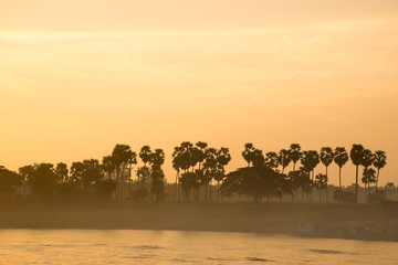 sugar palm River and sunrise