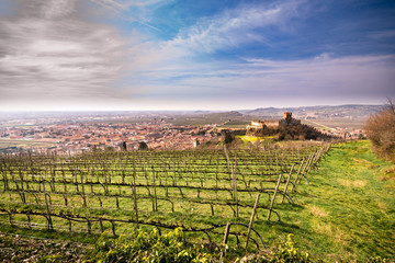 view of Soave (Italy) and its famous medieval castle - 110471633