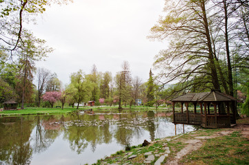 Obraz premium Lake with water lilies in spring park with arbor