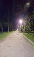 Park nocą