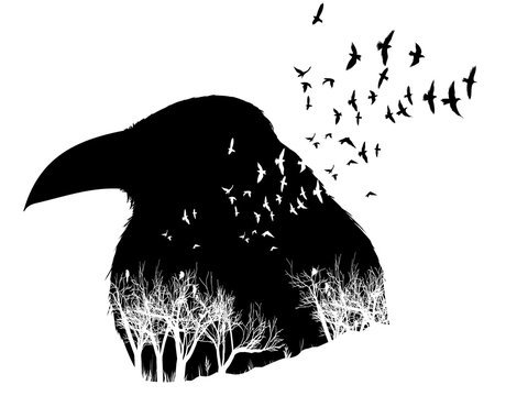 Raven illustration with double exposure effect. 
