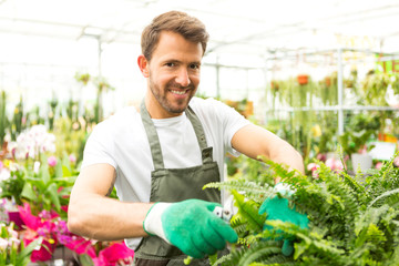 Young attractive florist cutting leaves of a plant