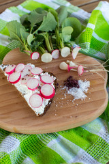 Fresh radishes and green onion and bread on the wood plate, summer photo.