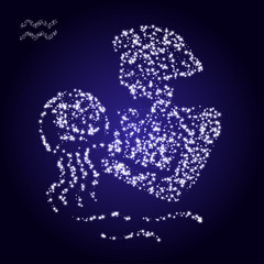 Zodiac sign of aquarius made of stars