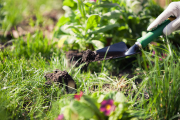 Holding shovel with soil