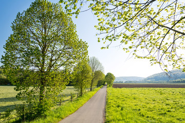 Obraz premium Frühling Feldweg am Morgen