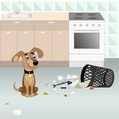 Dog looking for food