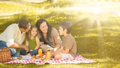 Family picnicking together