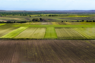 Art rural landscape.