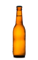 blank beer bottle