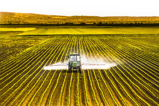 Tractor spraying a field of corn