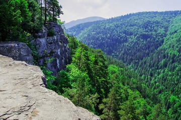 Fototapeta premium View from cliff in Slovak Paradise