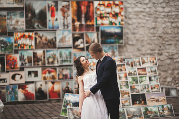 Gorgeous wedding couple, bride, groom kissing and hugging against the background of paintings