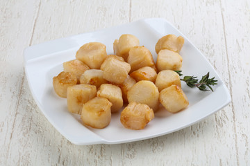 Roasted scallops