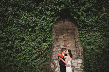 Fototapeta na wymiar Gorgeous newlywed posing near beautiful wall of plants bushes trees in their wedding day
