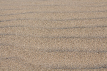 Fototapeta na wymiar sand dune close up