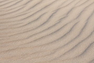 sand dune close up