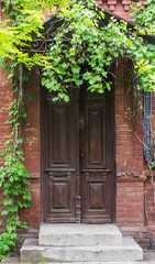 Fototapeta na wymiar Vintage wooden door frame with vines and tree shade cover