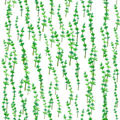 Watercolor seamless pattern with dandelion. Floral background. 