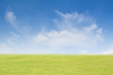 Fototapeta na wymiar Background grass and sky