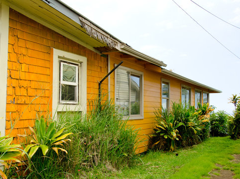 Glass walls of a building in Hawi
