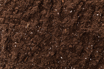 brown coffee powder texture extreme closeup photo
