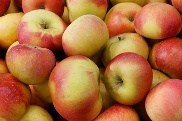 tasty red and yellow apples