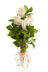 vertical image of white roses in vase.