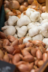 fresh vegetables and fruits store