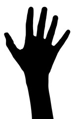 Fototapeta premium silhouette image of a elementary boys hand.
