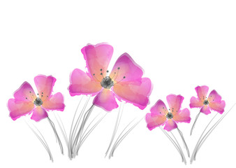 Watercolor design flowers