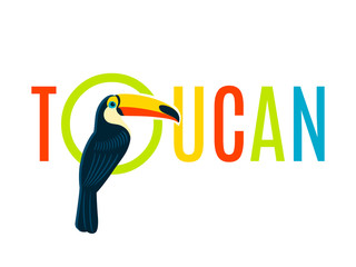 Toucan Flat Decorative Nameplate Design Banner