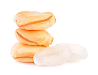 Asian Palmyra palm, Toddy palm, Sugar palm on white background