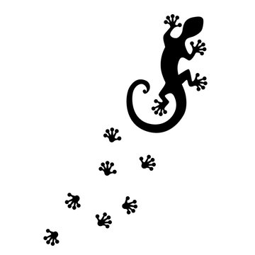Gecko footprint, silhouette vector