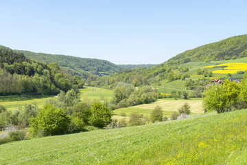 Fototapeta premium rural springtime scenery