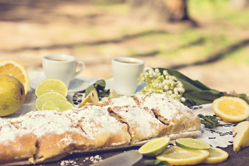 pie, strudel with pear and lemon. Cup of coffee. .Picnic, Breakfast in nature. Food in nature.