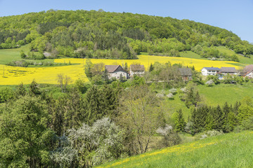 Obraz premium rural springtime scenery