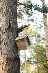 wooden birdhouse handmade