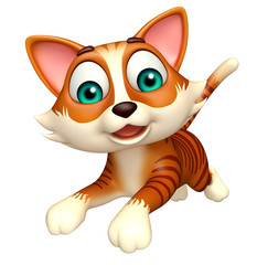 fun cat funny cartoon character