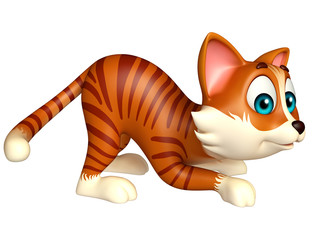 fun cat funny cartoon character