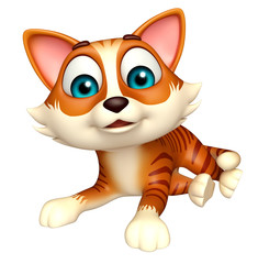 fun cat funny cartoon character