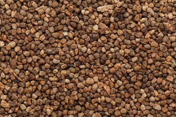 Organic True or green cardamom (Elettaria cardamomum) Seeds. Macro close up background texture. Top view.