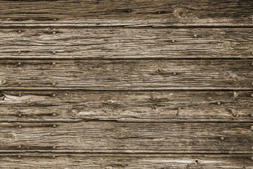 Fototapeta premium Background